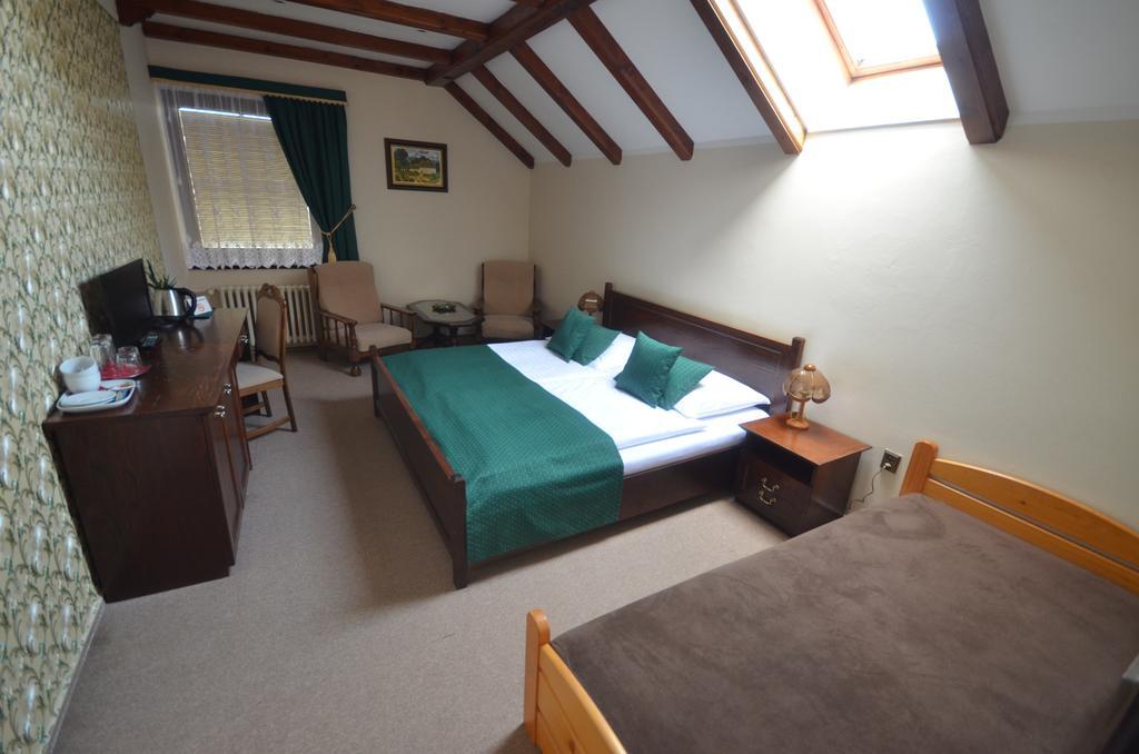Velké Losiny Villa Zerotin Penzion Bed & Breakfast מראה חיצוני תמונה