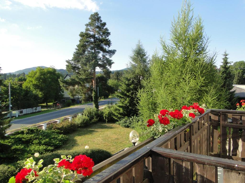 Velké Losiny Villa Zerotin Penzion Bed & Breakfast מראה חיצוני תמונה