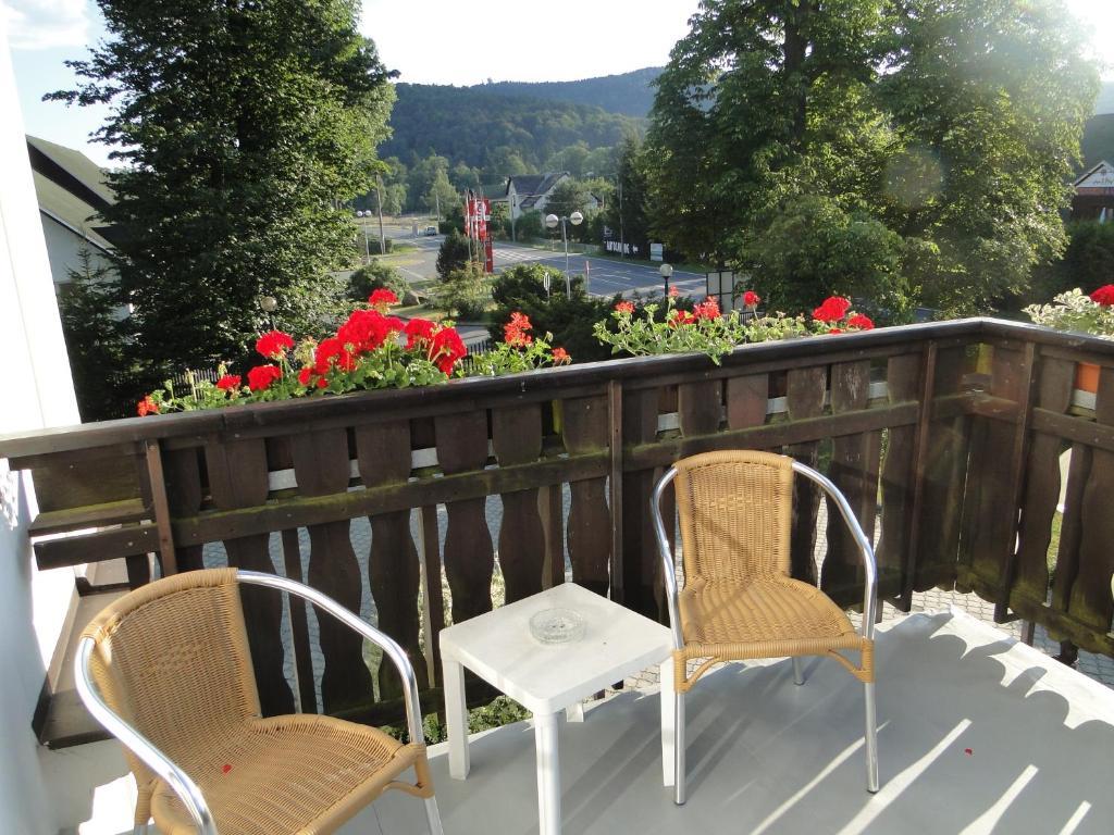 Velké Losiny Villa Zerotin Penzion Bed & Breakfast מראה חיצוני תמונה
